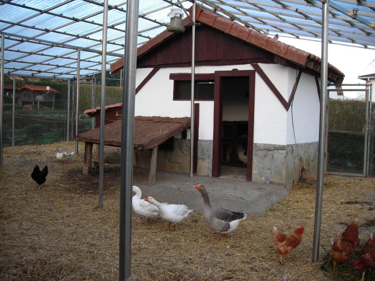 Albergue Areitz Soroa Arce Luaran gambar